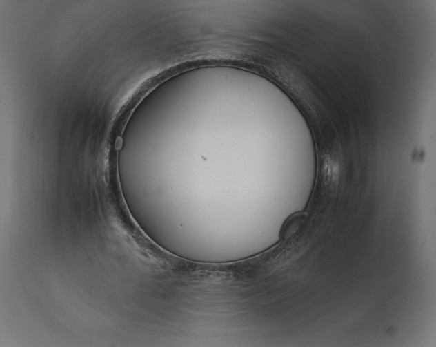 X0000111530676200907281403