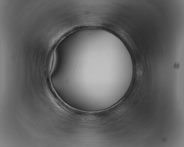 X0000111530677200907281403