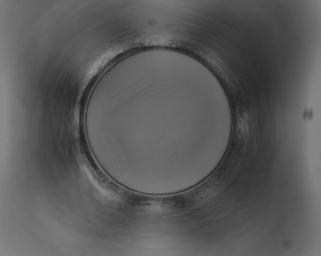 X0000111530678200907281403