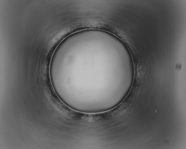 X0000111530679200907281403