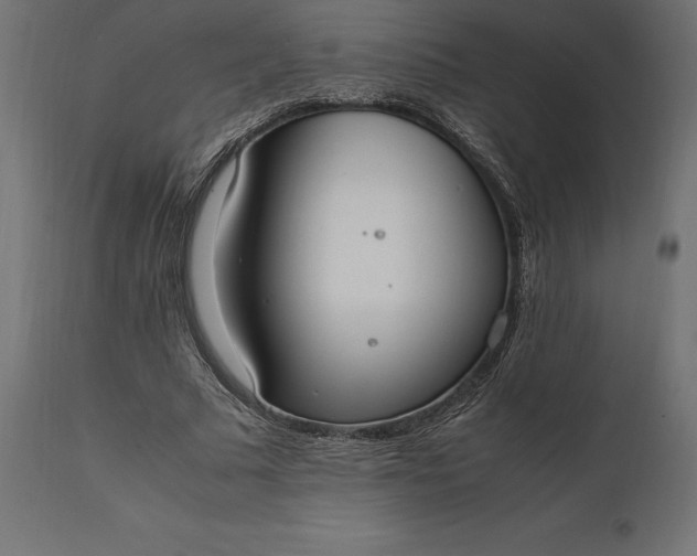 X0000111530681200907281403