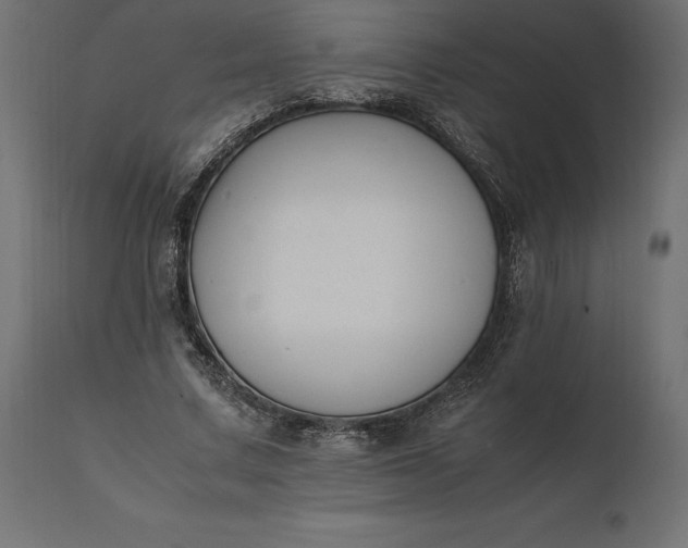 X0000111530683200907281403