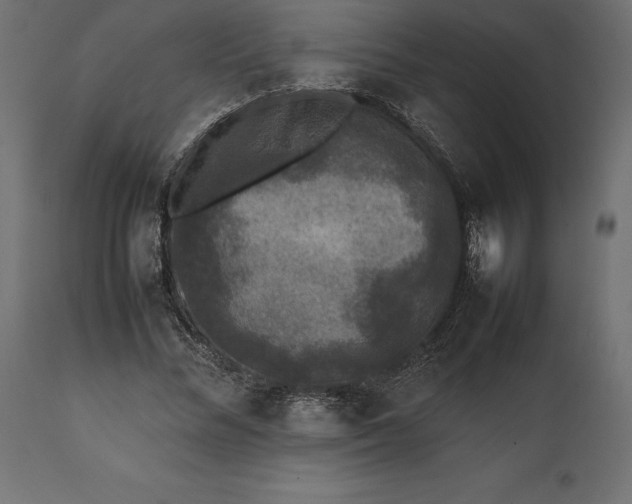 X0000111530684200907281403