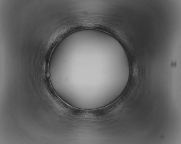 X0000111530685200907281403