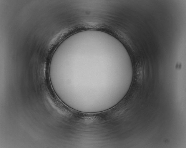 X0000111530686200907281403