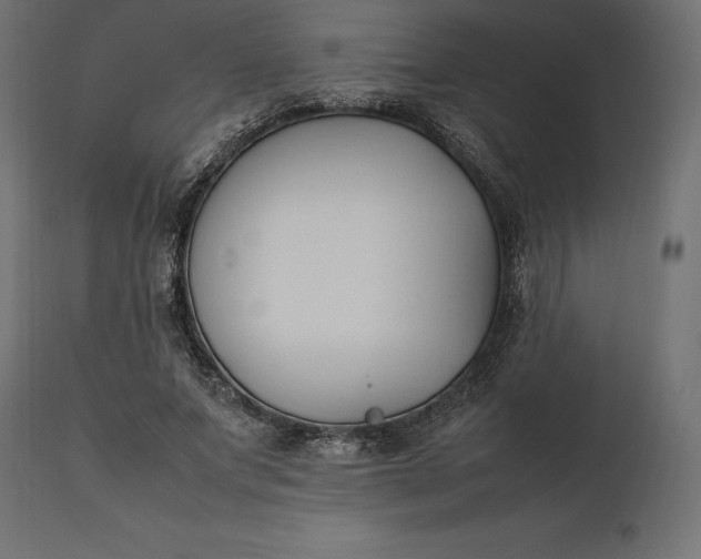 X0000111530687200907281403