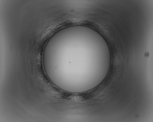 X0000111530689200907281403