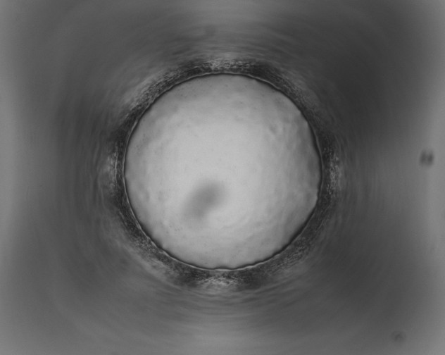 X0000111530691200907281403