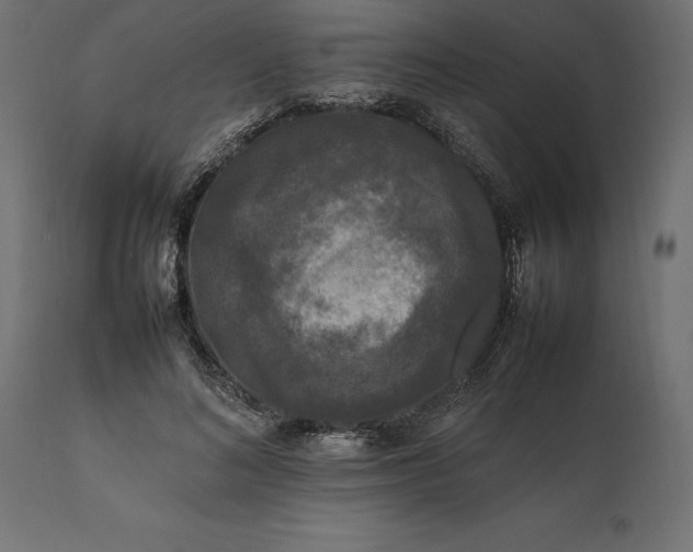 X0000111530692200907281403