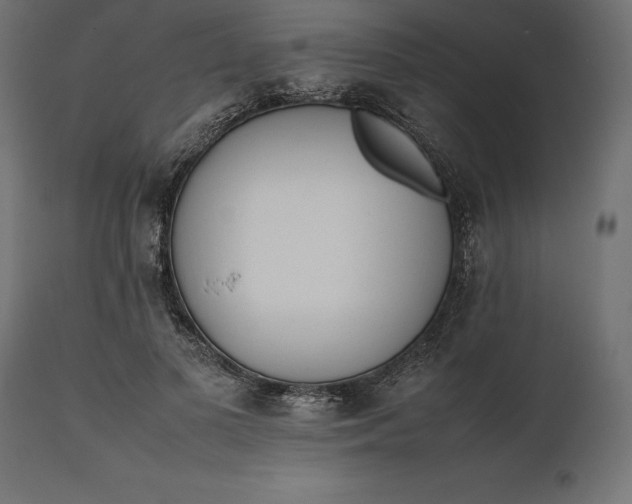 X0000111530693200907281403