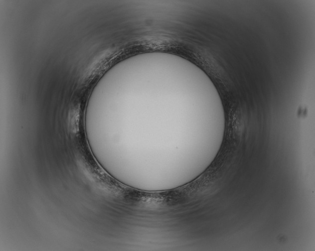 X0000111530694200907281403