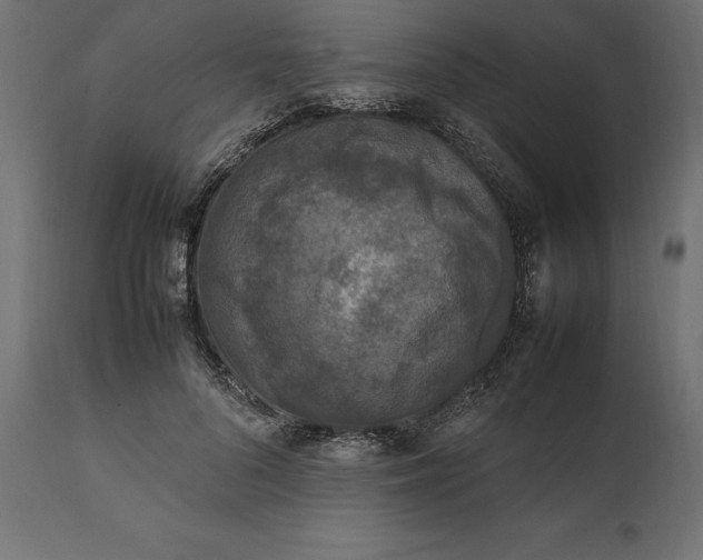 X0000111530696200907281403