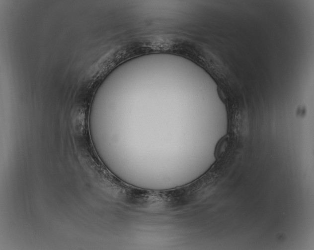 X0000111530697200907281403