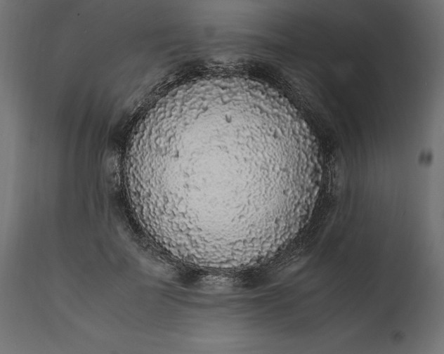 X0000111530699200907281403