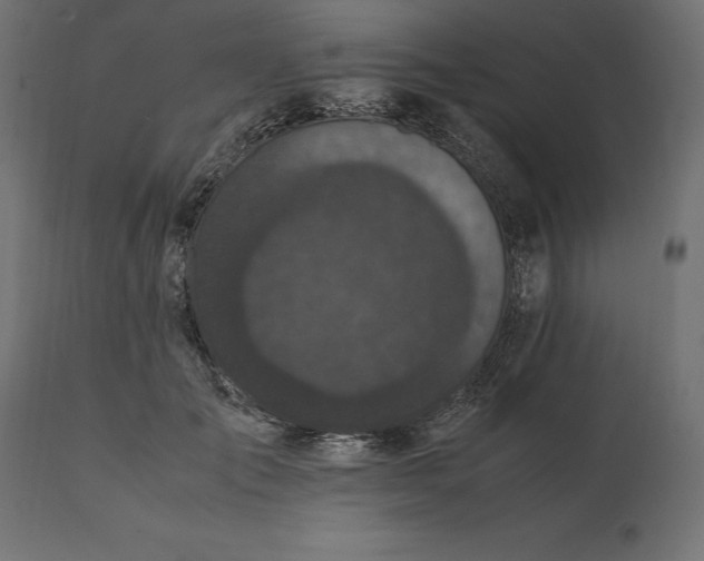 X0000111530701200907281403