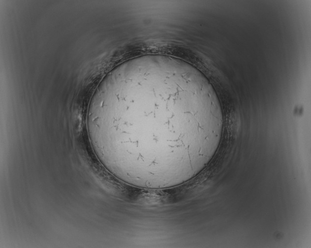 X0000111530703200907281403