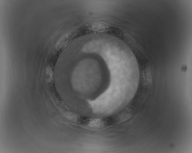 X0000111530705200907281403