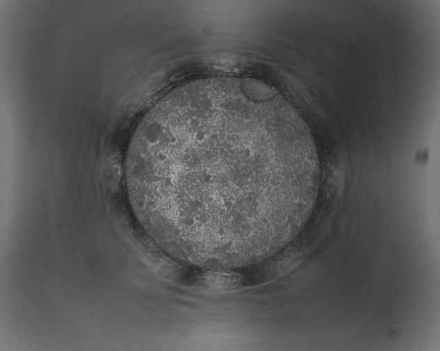 X0000111530707200907281403