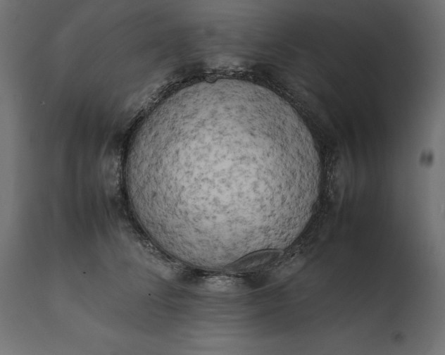 X0000111530708200907281403