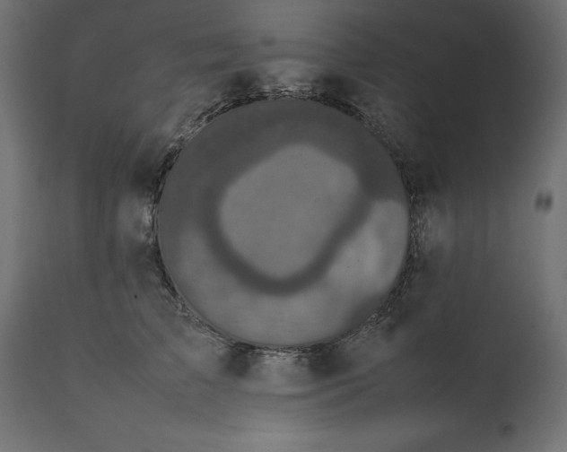 X0000111530709200907281403