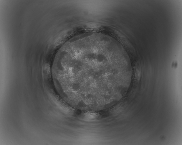 X0000111530711200907281402