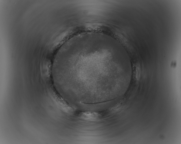 X0000111530712200907281402