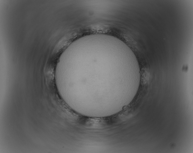 X0000111530713200907281402