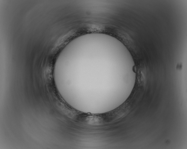 X0000111530714200907281402