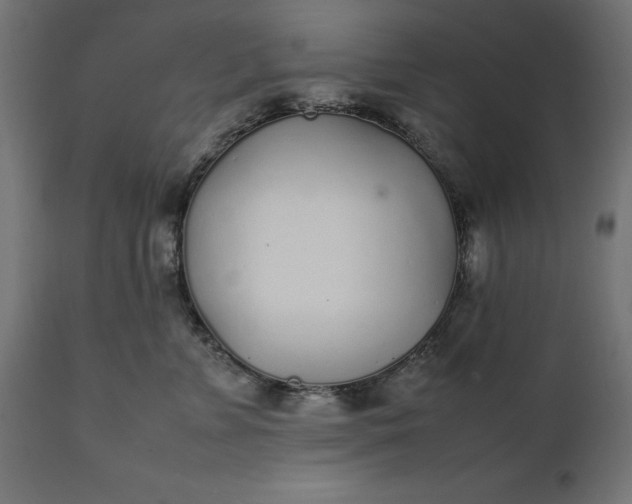 X0000111530715200907281402