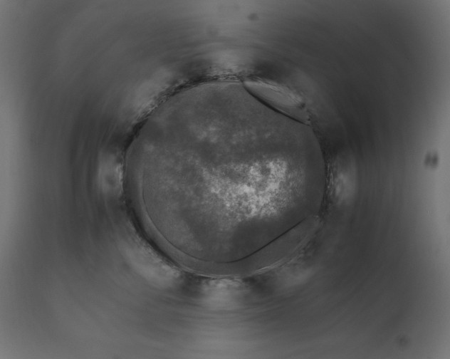 X0000111530716200907281402