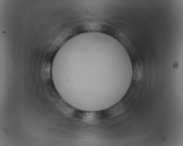 X0000111530717200907281402