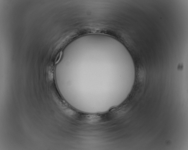 X0000111530719200907281402