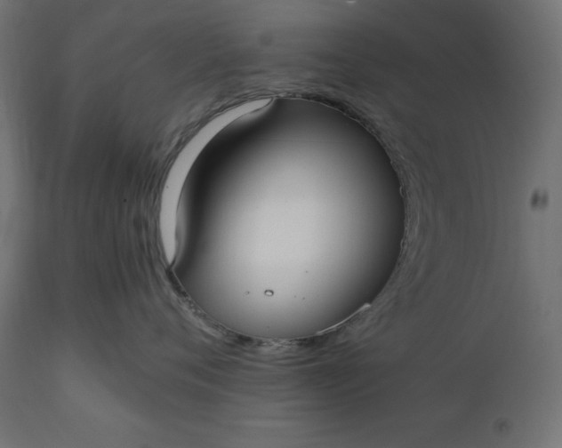 X0000111530720200907281402