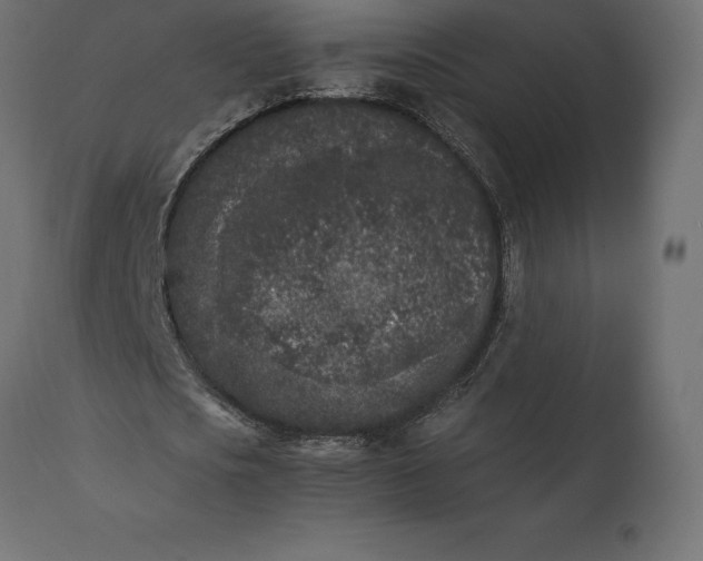 X0000111530721200907281402