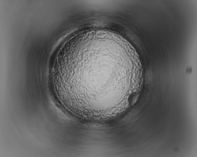 X0000111530722200907281402