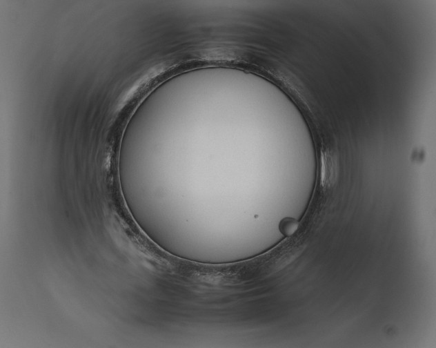 X0000111530723200907281402