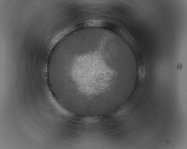 X0000111530725200907281402