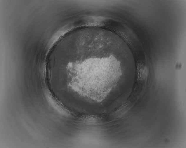 X0000111530726200907281402