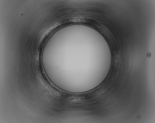 X0000111530727200907281402