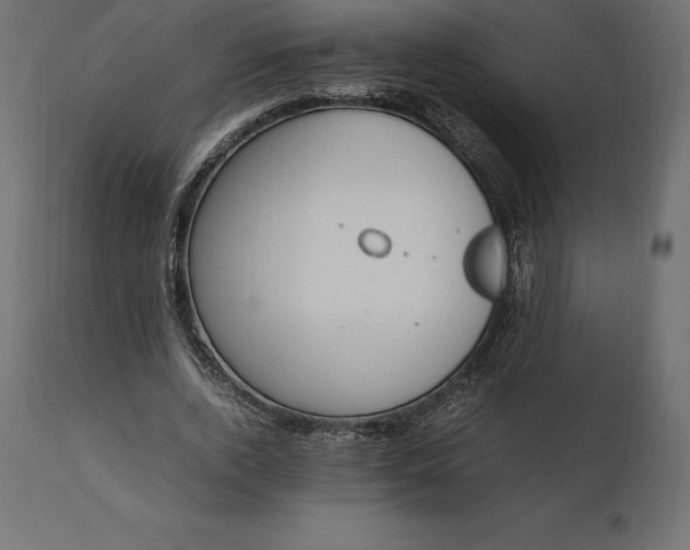 X0000111530728200907281402