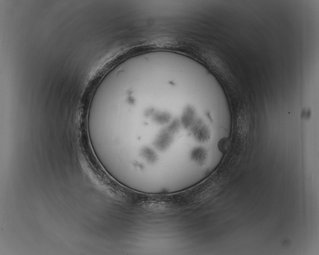 X0000111530730200907281402