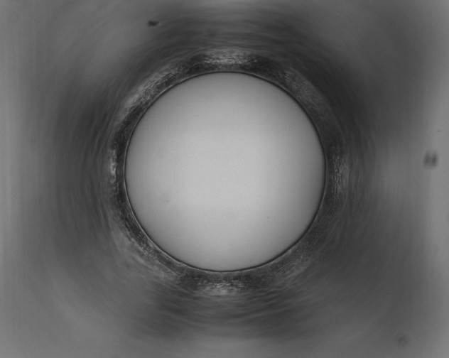 X0000111530731200907281402