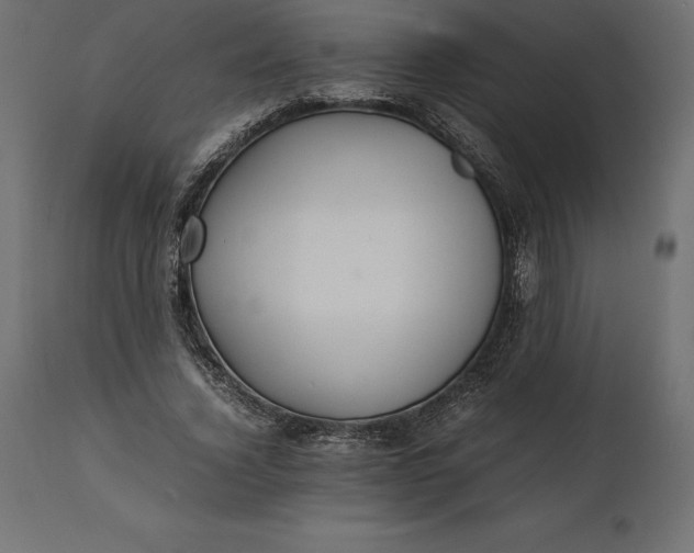 X0000111530732200907281402