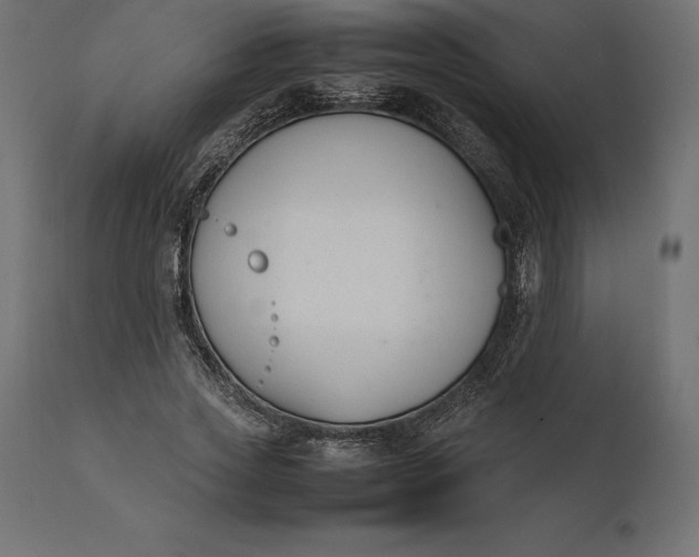 X0000111530733200907281402