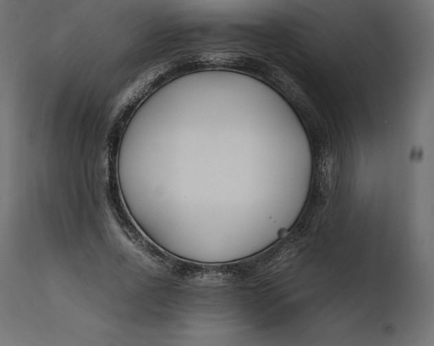 X0000111530734200907281402