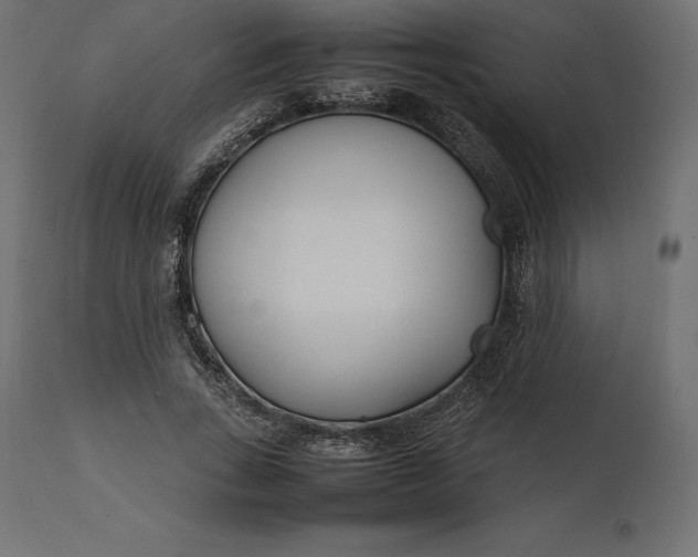 X0000111530735200907281402