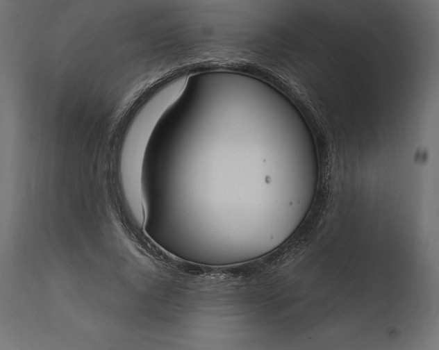 X0000111530736200907281402