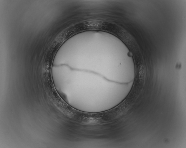 X0000111530737200907281402