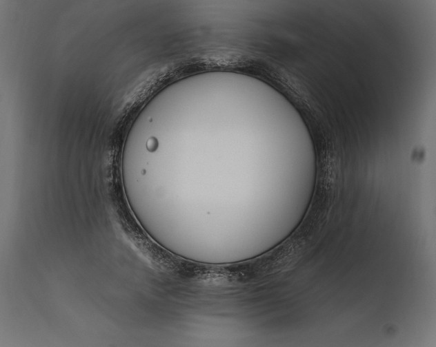 X0000111530738200907281402