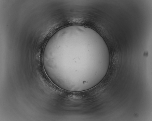 X0000111530739200907281402